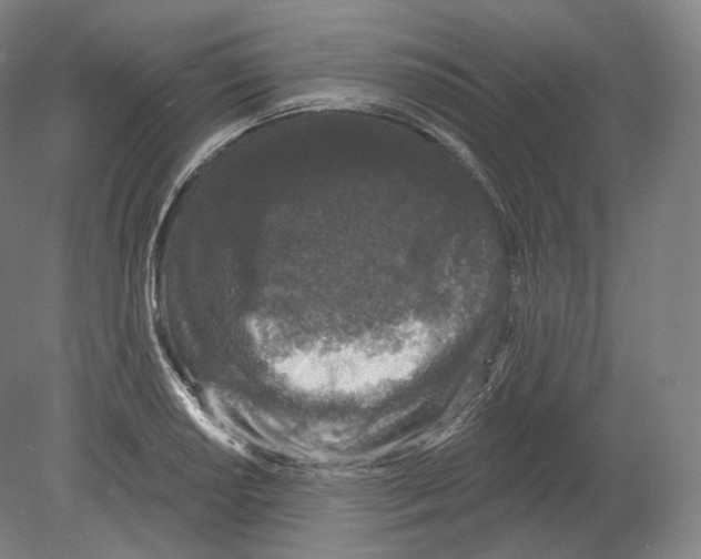 X0000080181034200701051652