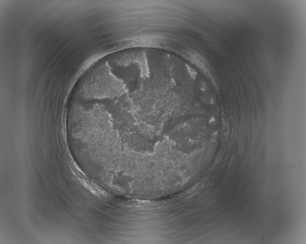 X0000080181035200701051652