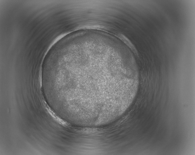 X0000080181036200701051652