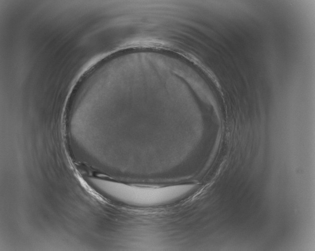 X0000080181037200701051652