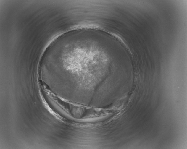 X0000080181038200701051652