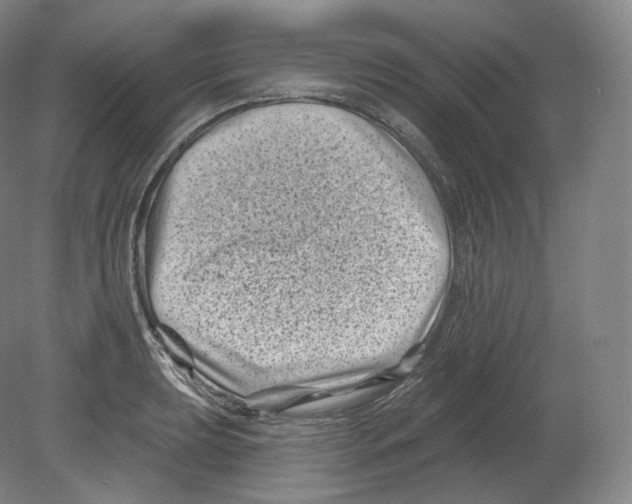 X0000080181039200701051652