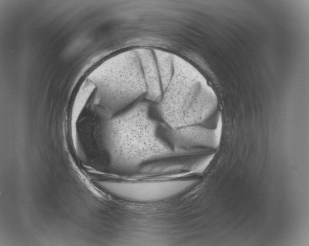 X0000080181040200701051652