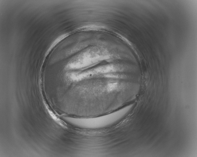 X0000080181042200701051652