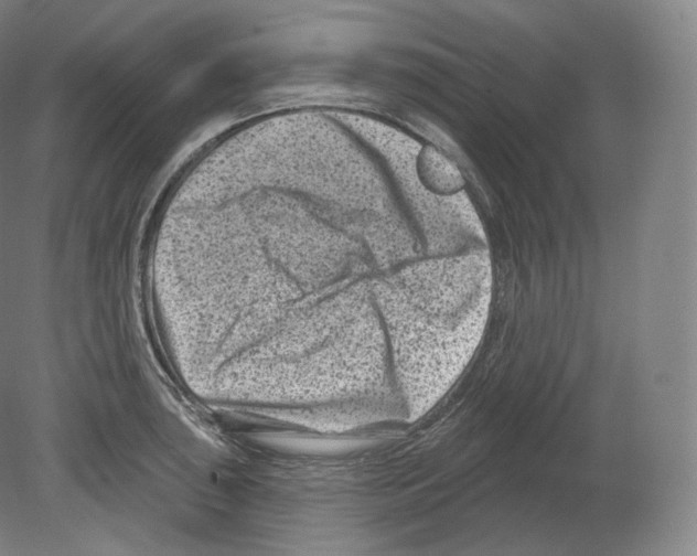 X0000080181043200701051652