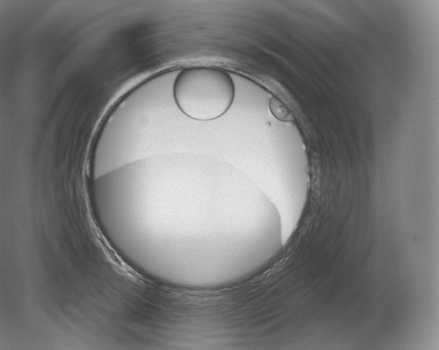 X0000080181044200701051652