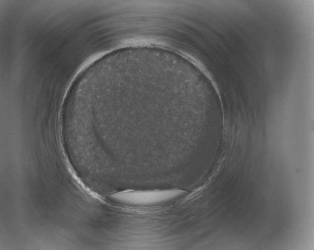 X0000080181045200701051652