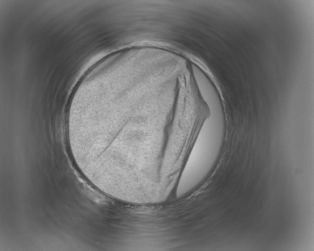 X0000080181048200701051652