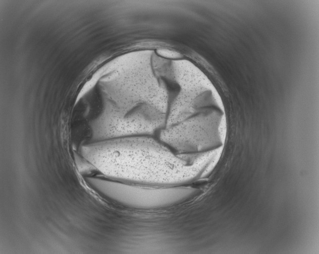 X0000080181049200701051652