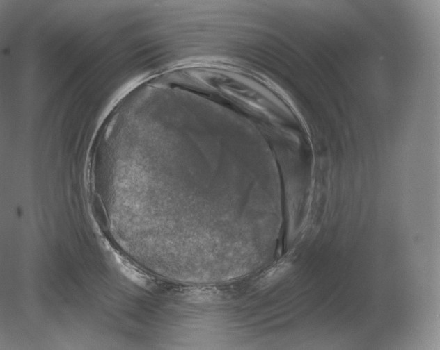 X0000080181050200701051652