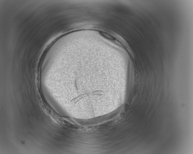 X0000080181051200701051652