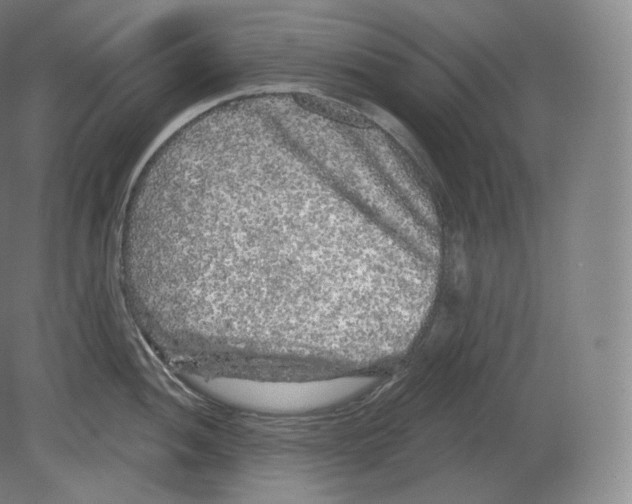 X0000080181052200701051652