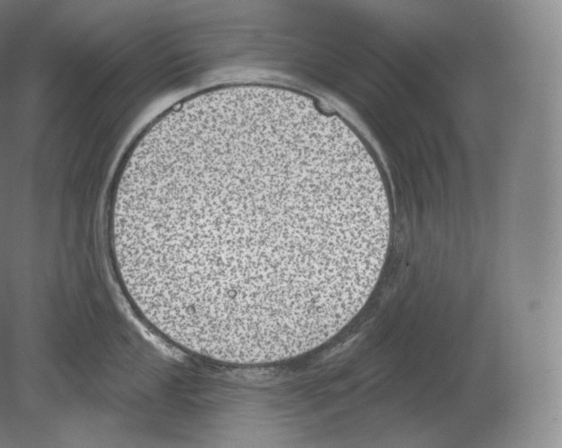 X0000080181053200701051652