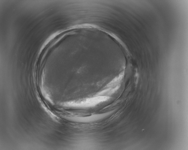 X0000080181054200701051652