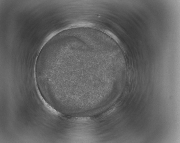 X0000080181055200701051652