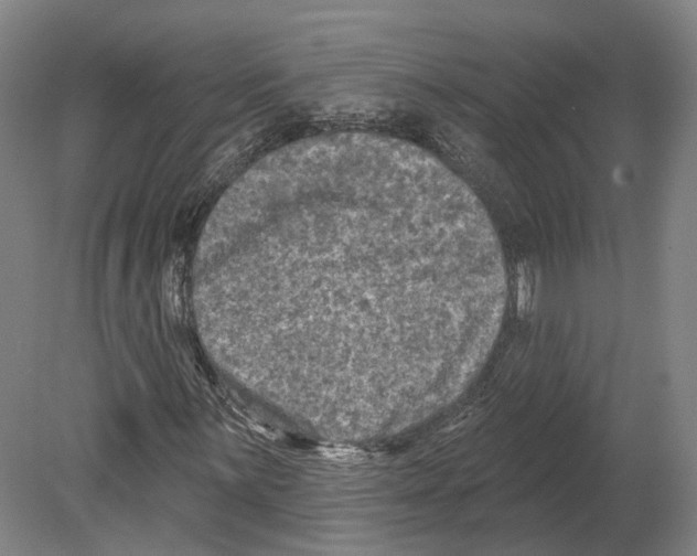 X0000080181059200701051651