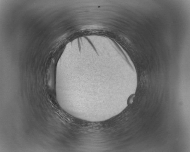 X0000080181062200701051651