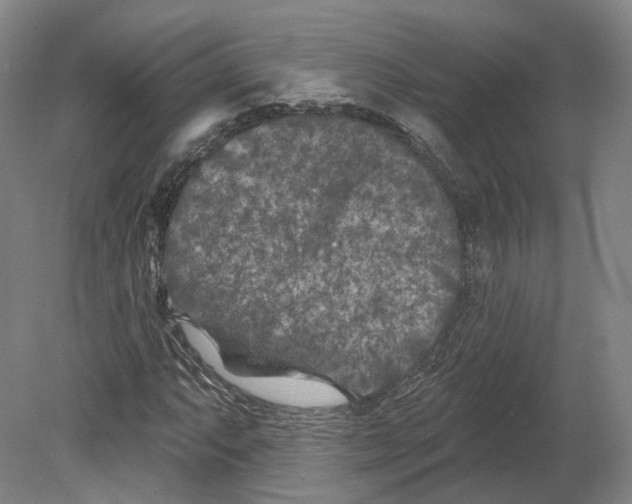 X0000080181063200701051651