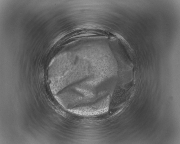 X0000080181065200701051651