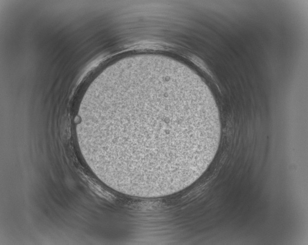 X0000080181067200701051651