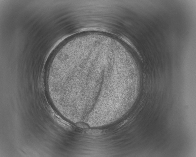 X0000080181068200701051651