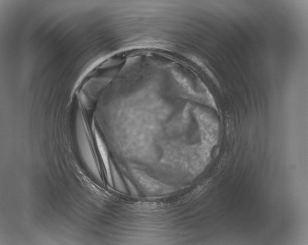 X0000080181069200701051651