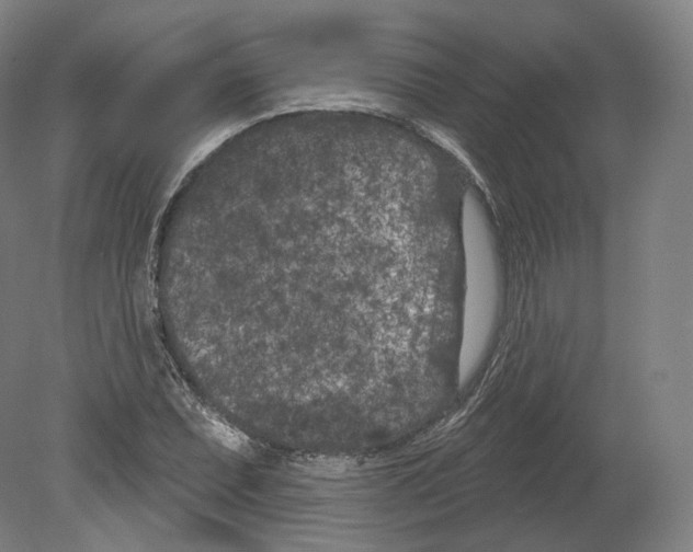 X0000080181071200701051651