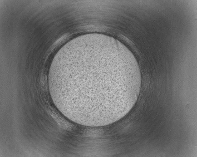 X0000080181074200701051651