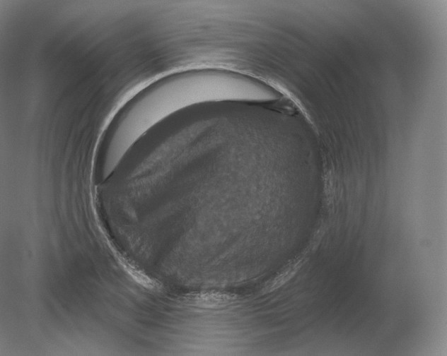 X0000080181077200701051651