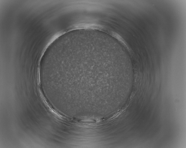 X0000080181079200701051651