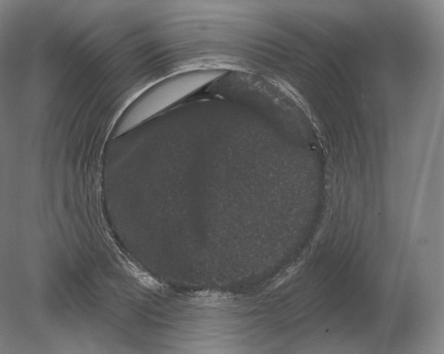 X0000080181081200701051651