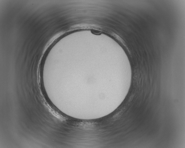 X0000080181082200701051651