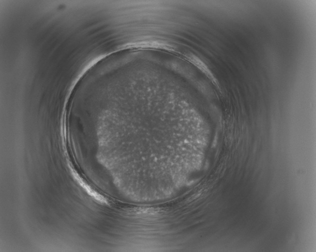 X0000080181084200701051651