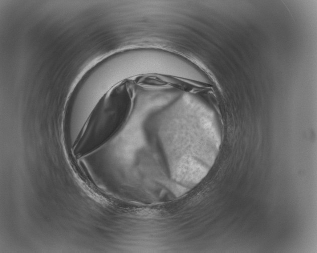 X0000080181085200701051651