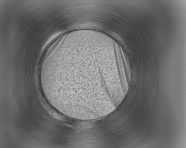 X0000080181086200701051651