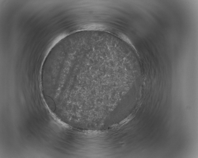 X0000080181087200701051651