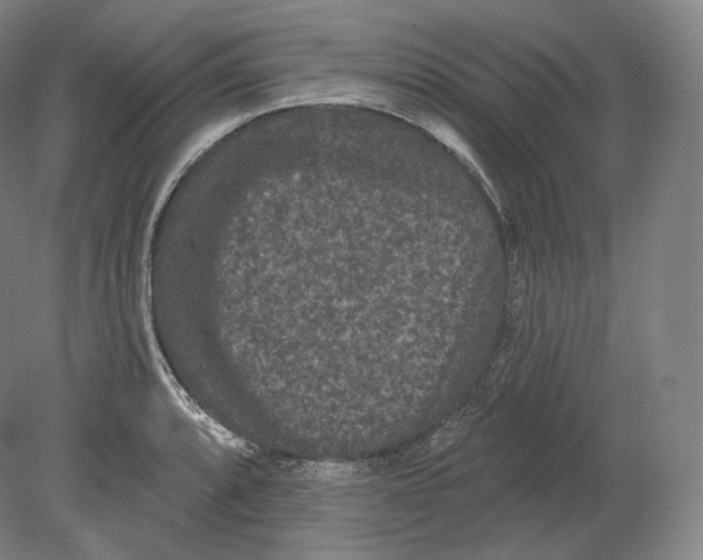 X0000080181088200701051651