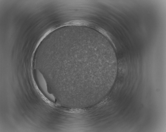 X0000080181091200701051651