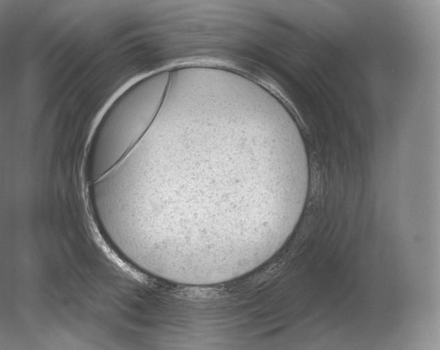 X0000080181092200701051651