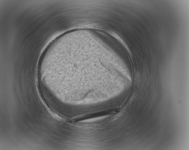 X0000080181093200701051651