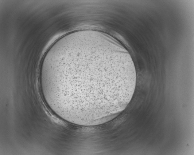 X0000080181094200701051651