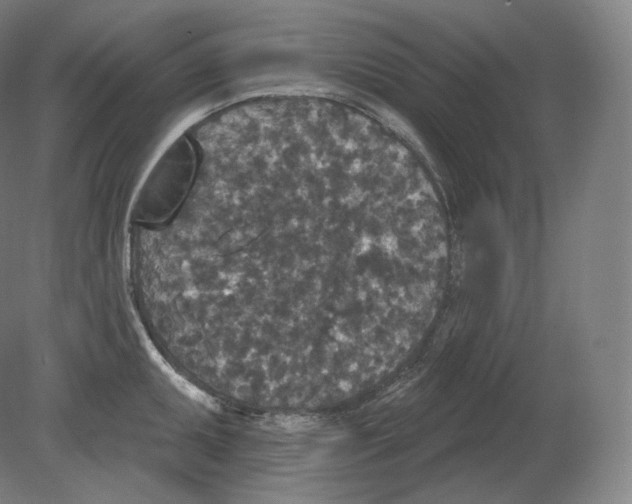 X0000080181095200701051651