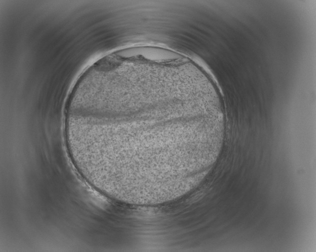 X0000080181096200701051651