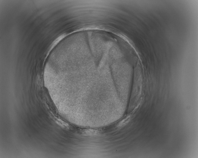 X0000080181097200701051651