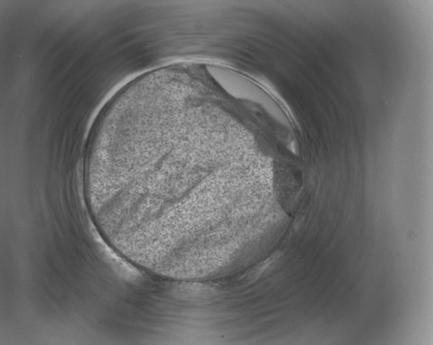 X0000080181100200701051650