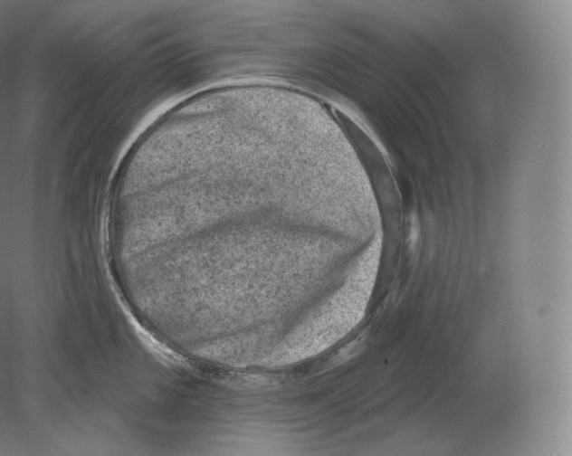 X0000080181101200701051650