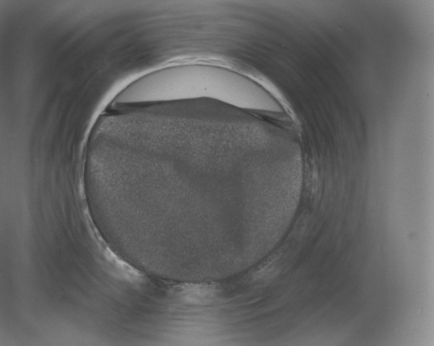 X0000080181102200701051650