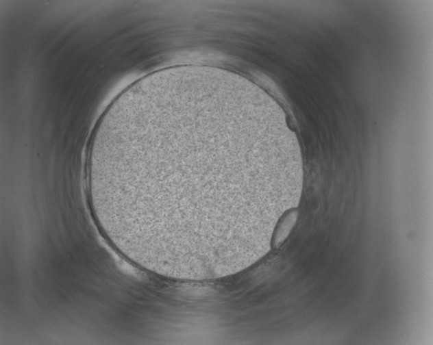 X0000080181103200701051650