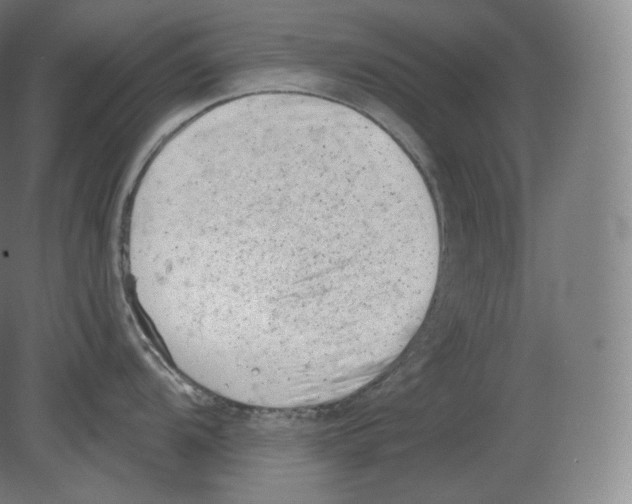 X0000080181104200701051650