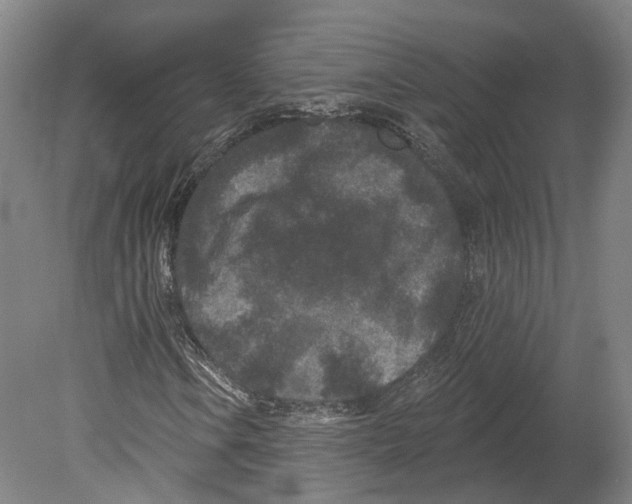 X0000080181106200701051650